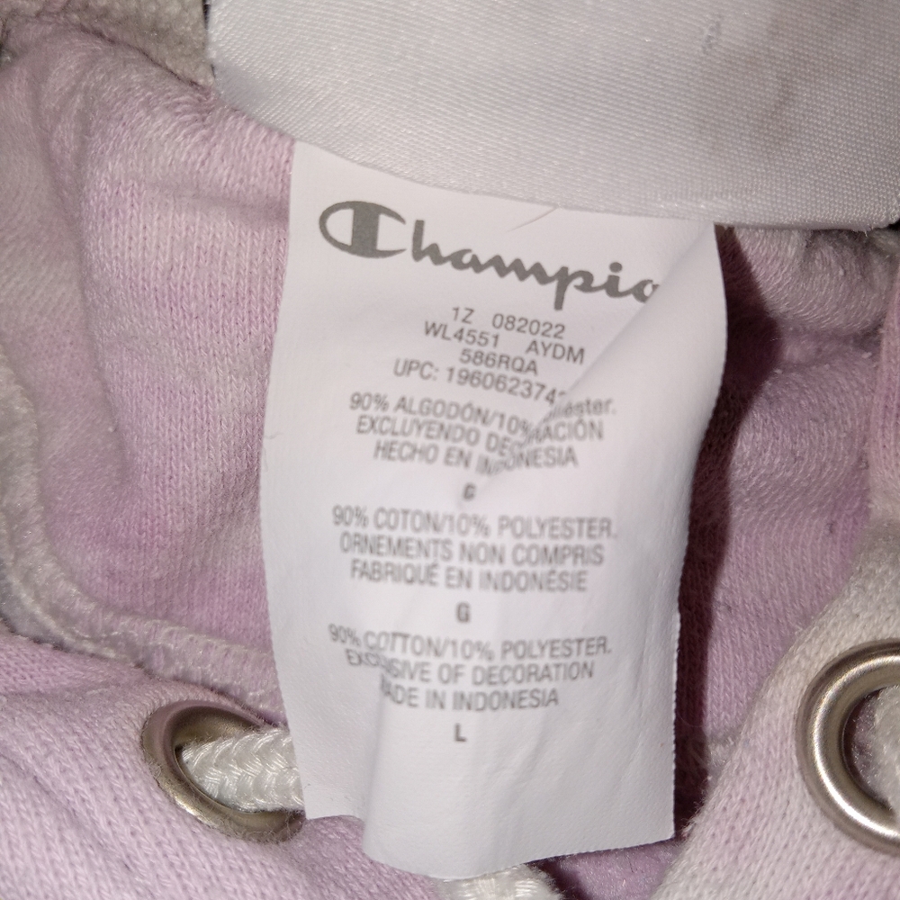 Champion Heavyweight Hooded Sweatshirt Large - Picture 7 of 7